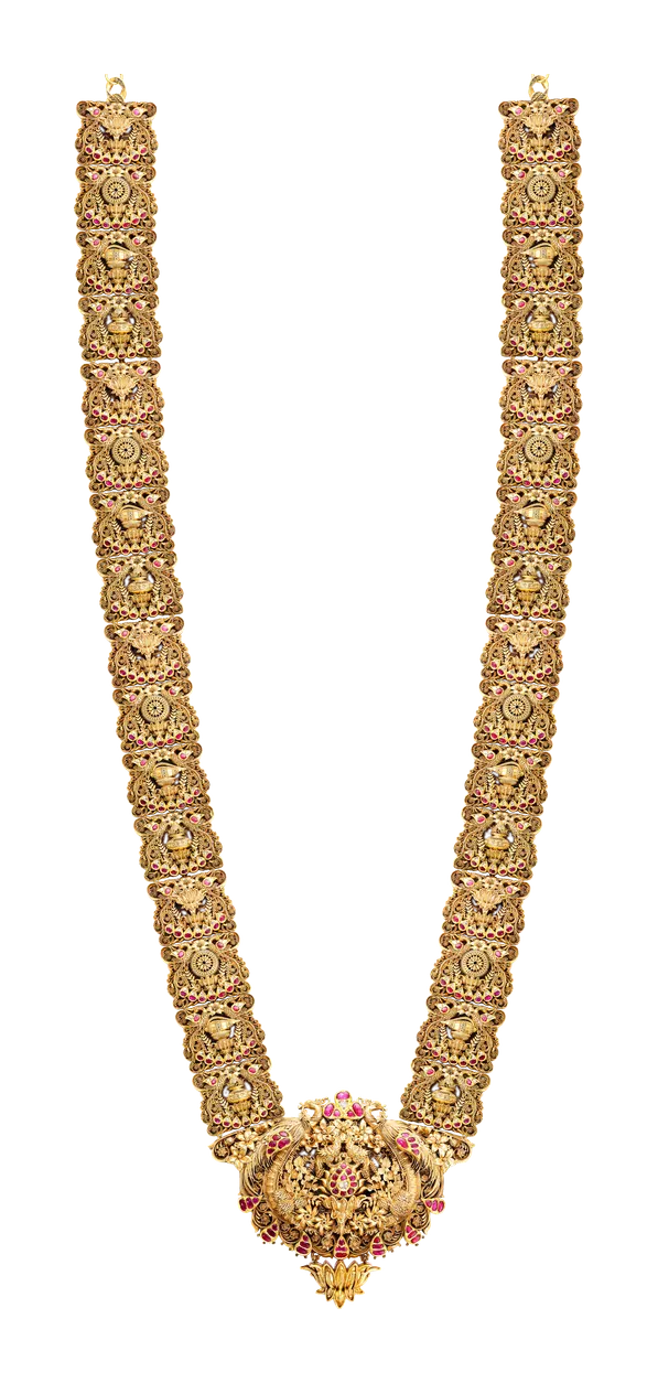 Vijay Haar